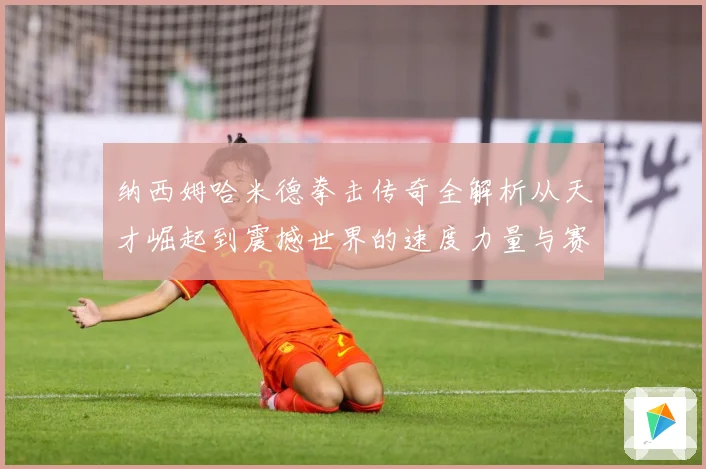 纳西姆哈米德拳击传奇全解析从天才崛起到震撼世界的速度力量与赛场神话