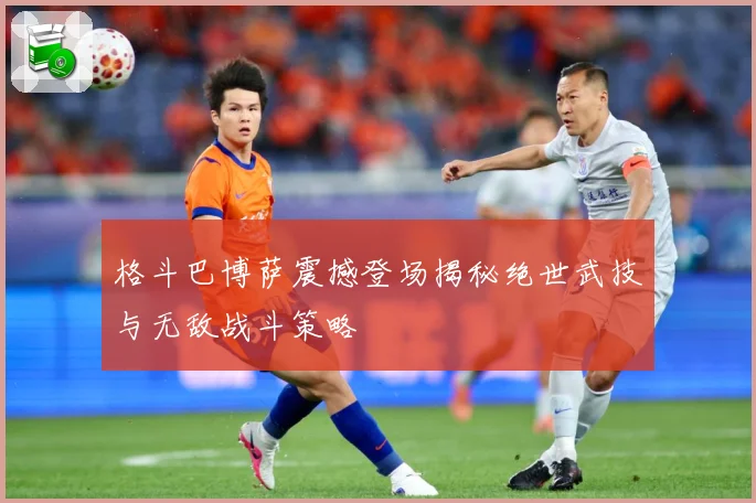 格斗巴博萨震撼登场揭秘绝世武技与无敌战斗策略