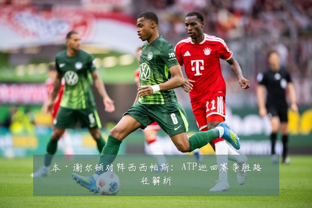 本·谢尔顿对阵西西帕斯：ATP巡回赛争胜路径解析